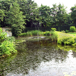 Gartenteich