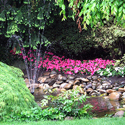 Ein schöner Garten